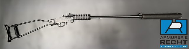 CARABINE CHIAPPA LITTLE BADGER CAL.22 CAT.C